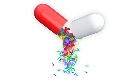 The Importance of Probiotics for Women