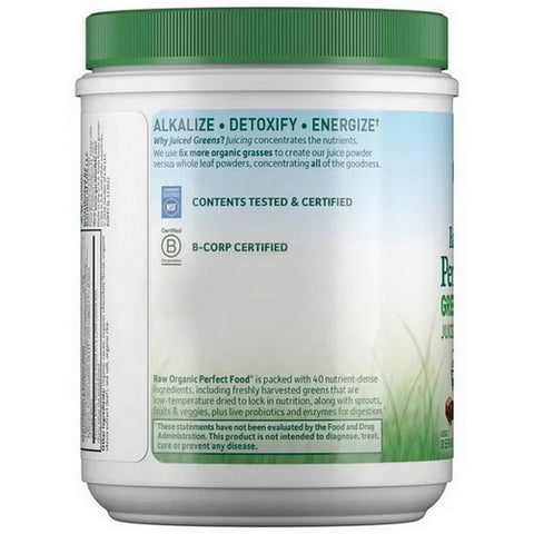 Garden of Life, Perfect Food Organic Green Superfood, Chocolate 285 g