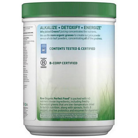 Garden of Life, Perfect Food Raw Real, Chocolate Cacao Powder 570 Grams