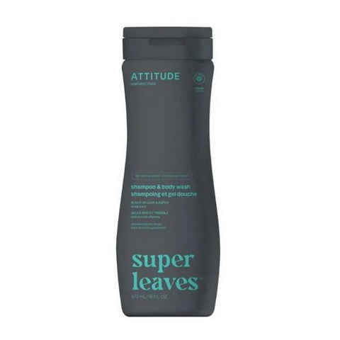 Attitude, Natural Shampoo & Body Wash, 2 in1 Scalp Care Men 15.9 Oz