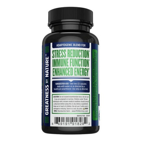 Zhou Nutrition, Ashwagandha, 60 Count