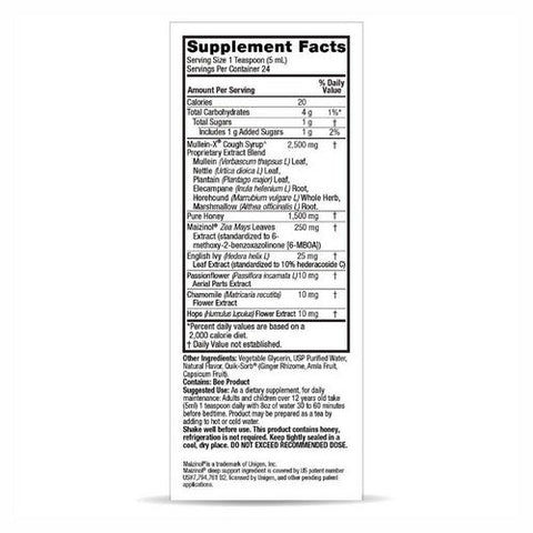 Nature's Answer, Natural Mullein-X Cough Syrup PM Nighttime, 4 Oz Nature's Answer