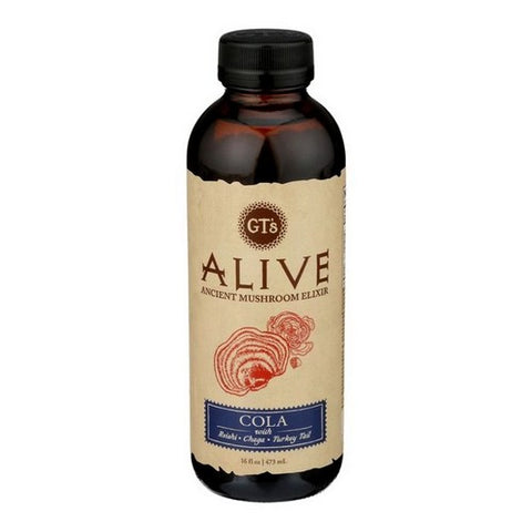 GT's, Alive Ancient Mushroom Elixir Cola, 16 Oz