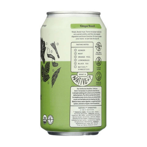 Better Booch, Ginger Boost Kombucha, 12 Oz (Case Of 12)