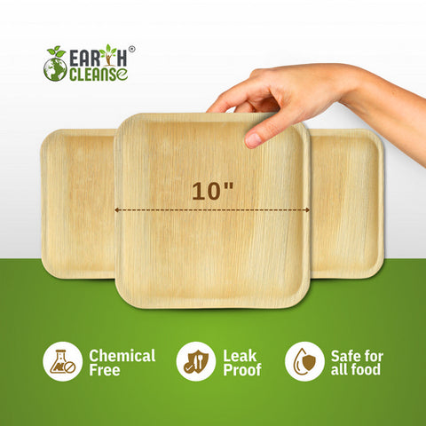 Earth Cleanse, Areca Palm Leaf Square Plates 10-Inch, Pack of 25
