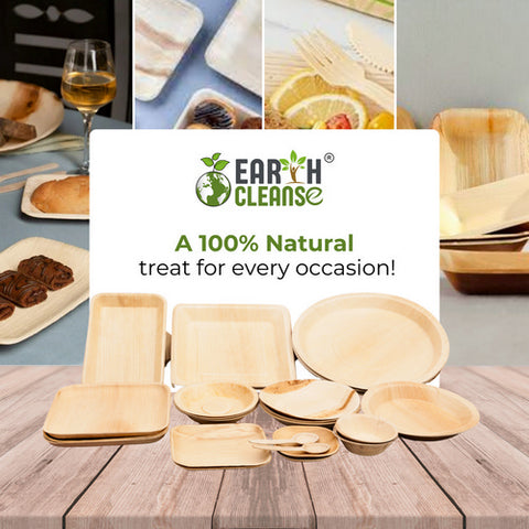 Earth Cleanse, Areca Palm Leaf Rectangular Tray 6x9-Inch, Pack of 25