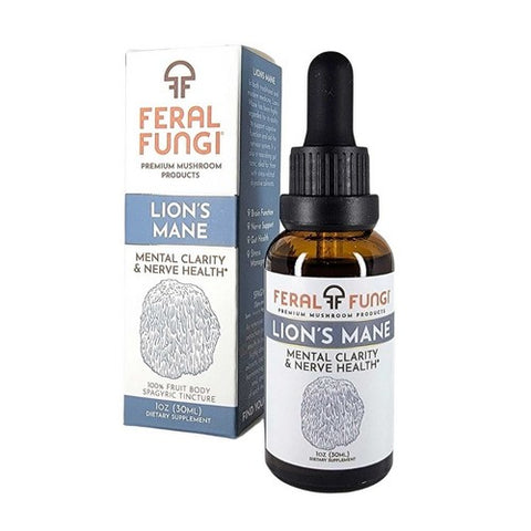 Lion's Mane 1 Oz by Feral Fungi