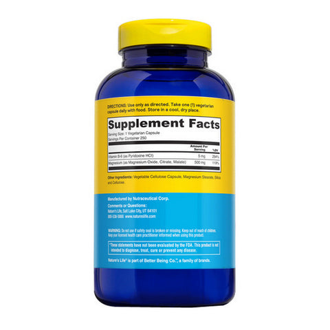 Nature's Life, Magnesium, 500 mg, 250 caps